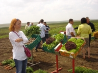 55 de milioane euro pentru promovarea &ldquo; gustului european&rdquo;, &icirc;n 2012
