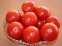 Hibridul rom&acirc;nesc de tomate SIRIANA F1, se conturează un succes