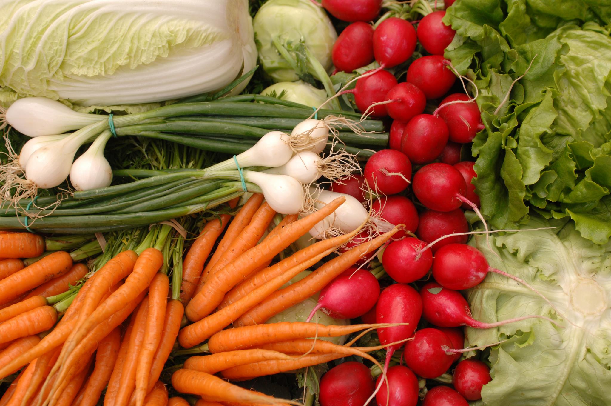 Agra Asigurări Legume 1