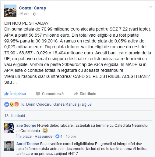 caras tanase