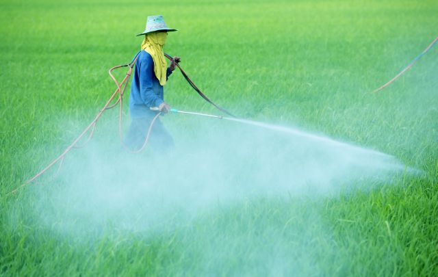 pesticide