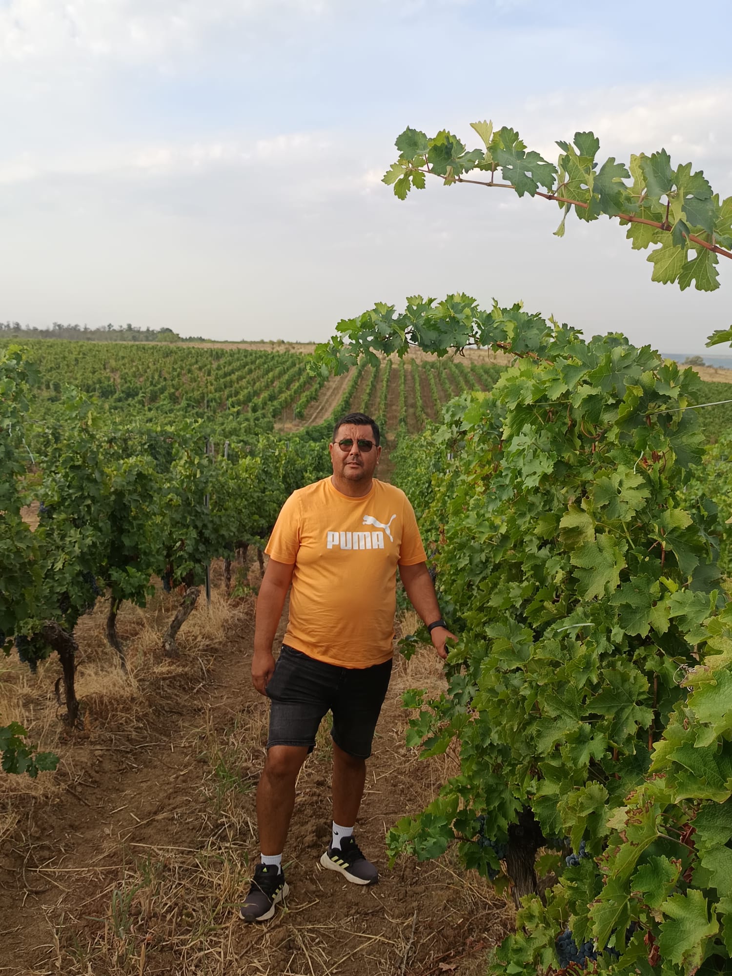 Marian Anghel Corteva Romania Winegrower