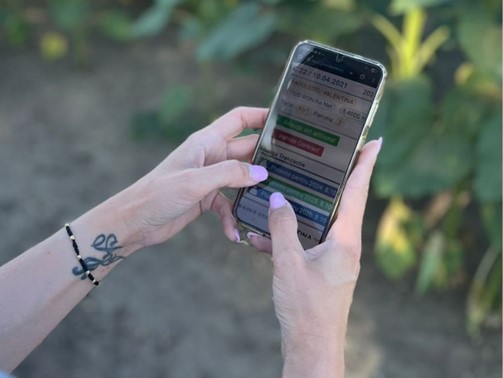 arenda digitalizare
