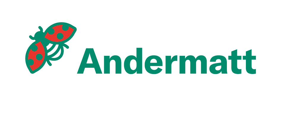logo andermatt romania rgb