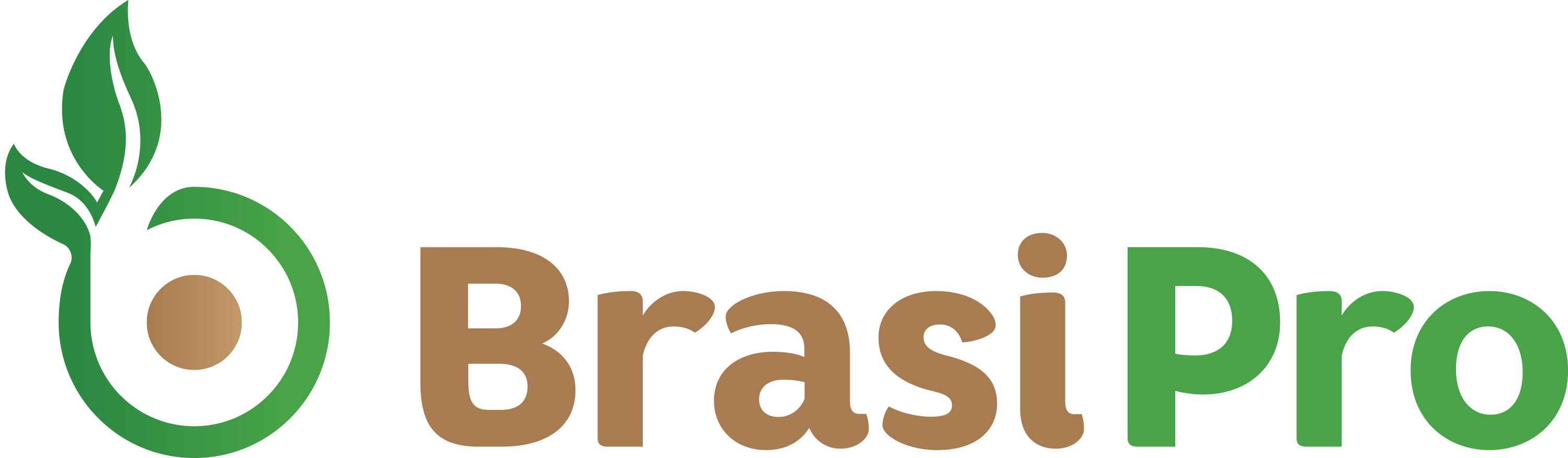 logo BrasiPro