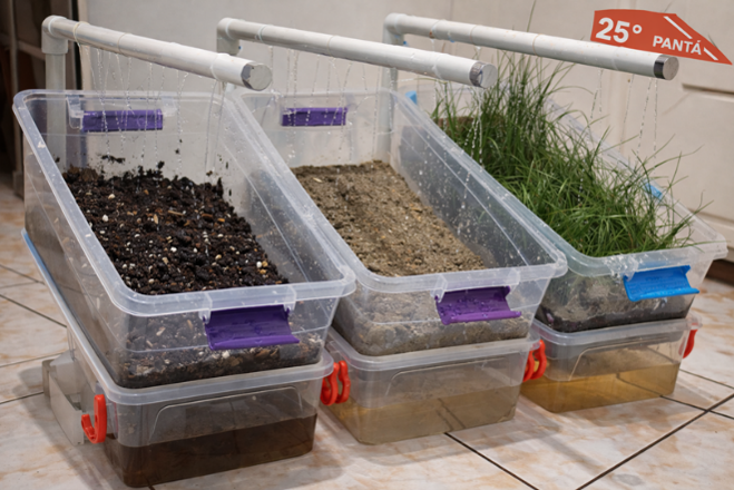 sol
