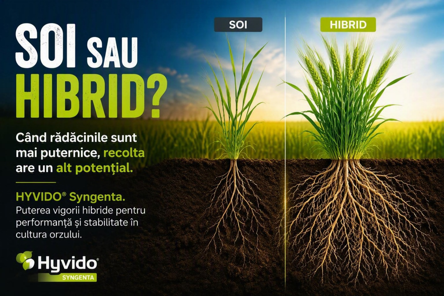 syngenta1