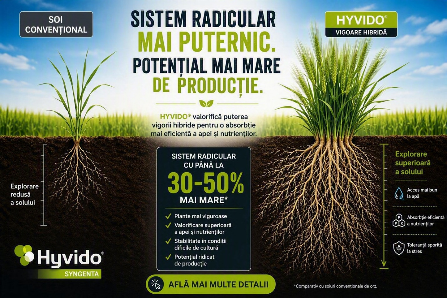 syngenta2