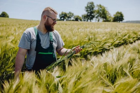 syngenta intro