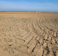 Acordul UE – Mercosur îngrijorează agricultorii din Europa. Fermierii continuă să tragă semnale de alarmă și ies în stradă