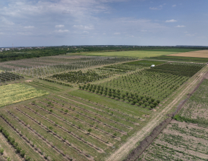 Finanțare 100% nermabursabilă pentru înființarea grupurilor de producători