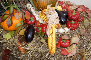 Creațiile cercetării agricole românești se prezintă la ASAS