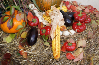 Creațiile cercetării agricole românești se prezintă la ASAS