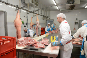 APIA primește cereri de sprijin pentru stocarea privată a cărnii de porc
