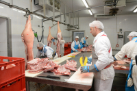 APIA primește cereri de sprijin pentru stocarea privată a cărnii de porc