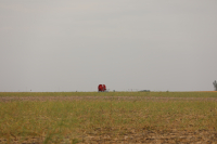 ,,Jocurile foamei” în agricultura europeană