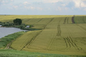 Un nou registru agricol pentru perioada 2025-2029