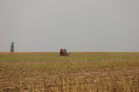760 de milioane de euro pentru investiții în exploatații agricole