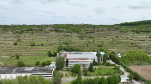SCDVV Blaj aniversează 80 de ani de activitate neîntreruptă în inima Podgoriei Târnave, pe 9 octombrie