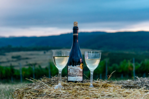 Vinea Apoldia Maior Fest, un eveniment dedicat vinului și gastronomiei locale