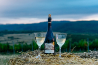 Vinea Apoldia Maior Fest, un eveniment dedicat vinului și gastronomiei locale