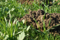 CO2, baza existenței vieții pe Terra