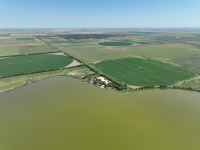 Multe ecuații și mulți algoritmi, în agricultura de azi