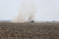 Invadată de dăunători fără leac, agricultura României are nevoie de neonicotinoide