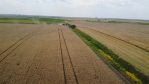 Recensământul agricol, important pentru viitoarea PAC. A început RGA de probă
