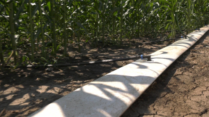 Ordin din domeniul energiei, important pentru agricultură, urgent de pus în practică