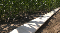 Ordin din domeniul energiei, important pentru agricultură, urgent de pus în practică