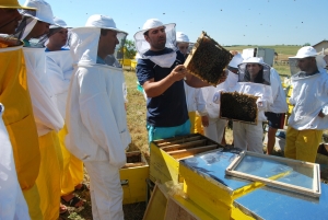 Instituțiile de învățământ din programul „Liceele agricole – hub-uri locale pentru dezvoltarea fermelor mici și mijlocii” își așteaptă cursanții
