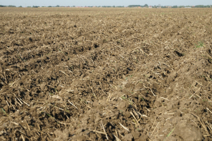 Sănătatea solului, condiție esențială pentru viitorul agriculturii