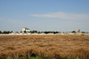 Agricultorii au nevoie de soluții care să le asigure stabilitatea veniturilor