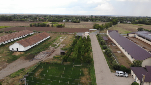 Ce trebuie să facă fermierii după încheierea Campaniei 2025 de depunere a cererilor de plată