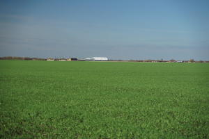 5 miliarde lei pentru Agro IMM Invest, în 2022