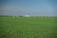 5 miliarde lei pentru Agro IMM Invest, în 2022