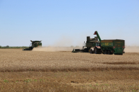 Asigurarea oferă siguranță pentru fermieri. Și azi, și mâine