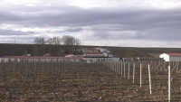 Domeniile Lungu, vinuri și fructe de poveste