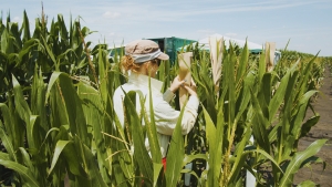 Nou centru de dezvoltare multifuncțională, pentru mai multe tipuri de culturi, în Szeged – Ungaria, deschis de Corteva Agriscience