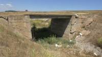 Un ultim apel disperat al fermierilor! AGRO IMM INVEST nu poate înlocui despăgubirile pentru secetă