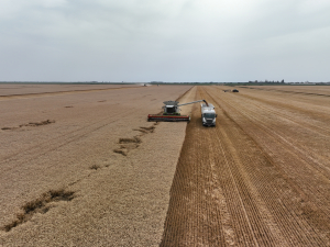 Nou acord de finanțare între Agricover Credit și BSTDB, pentru sprijinirea sectorului agricol