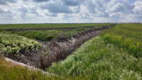 Situația gravă din agricultura românească e întreținută de autorități