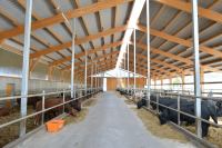 „Ora de Zootehnie”, pentru crescătorii de Aberdeen Angus