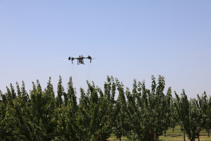 Digitalizarea agriculturii românești este o urgență