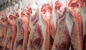 Schimbări în sectorul clasificării carcaselor de bovine, porcine şi ovine