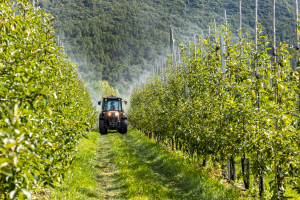 Condiții de accesare a fondurilor europene pentru tineri fermieri, ferme mici și pentru cooperare în sectorul agricol și pomicol
