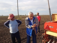 Grâul românesc a fost recoltat în proporție de 91 la sută. Petre Daea confirmă datele. Cum stăm la orz și orzoaica de toamnă?