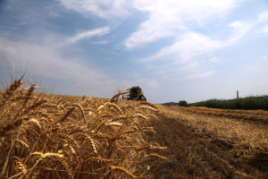 Plată compensatorie de 100 euro/ha. 162.640 de fermieri se încadrează la acest sprijin