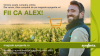 Platformă de comerț online lansată de Syngenta